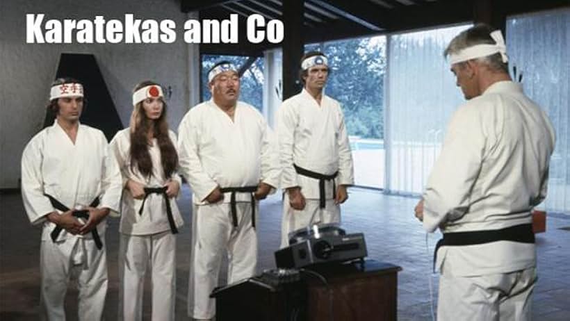 Karatekas and co (1973)