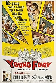 John Agar, William Bendix, Lon Chaney Jr., Rory Calhoun, Richard Arlen, Linda Foster, Virginia Mayo, and Regis Parton in Young Fury (1964)