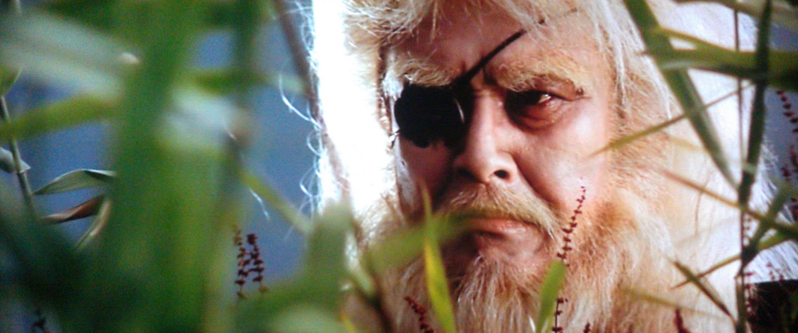 Minoru Ôki in Lone Wolf and Cub: Baby Cart in the Land of Demons (1973)