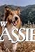 Lassie in The New Lassie (1989)