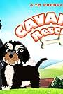 Cavapoo Rescue (2024)