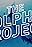 Swimming With Wild Dolphins in 360° Virtual Reality: The Dolphin Project