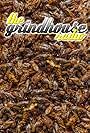 The Grindhouse Radio: Eating Crickets (2018)