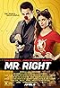 Mr. Right (2015) Poster