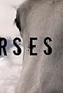 Horses (2009)