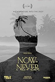 Now or Never (2024)