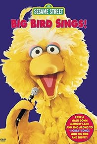 Primary photo for Sesame Street: Big Bird Sings!