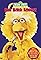 Sesame Street: Big Bird Sings!'s primary photo