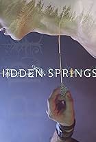 Hidden Springs