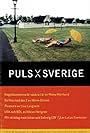 Puls på Sverige (2007)