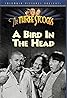 A Bird in the Head (1946) Poster