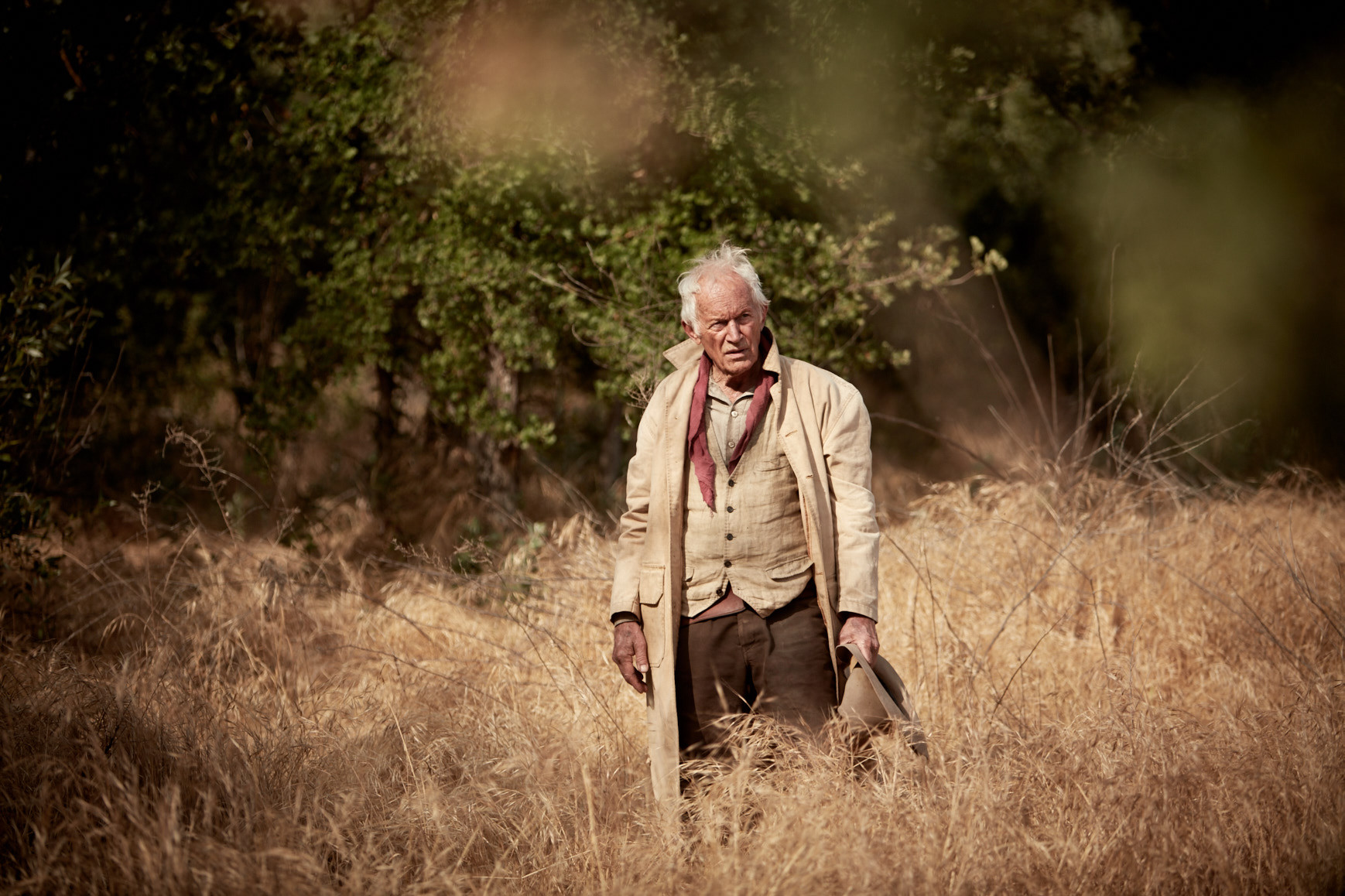 Lance Henriksen in Gone Are the Days (2018)