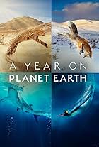 A Year on Planet Earth