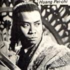 Pei-Chi Huang