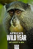 Africa's Wild Year (2021)