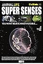 Super Senses (2015)