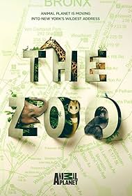 The Zoo (2017)