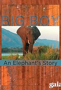 Primary photo for Big Boy: An Elephant's Story