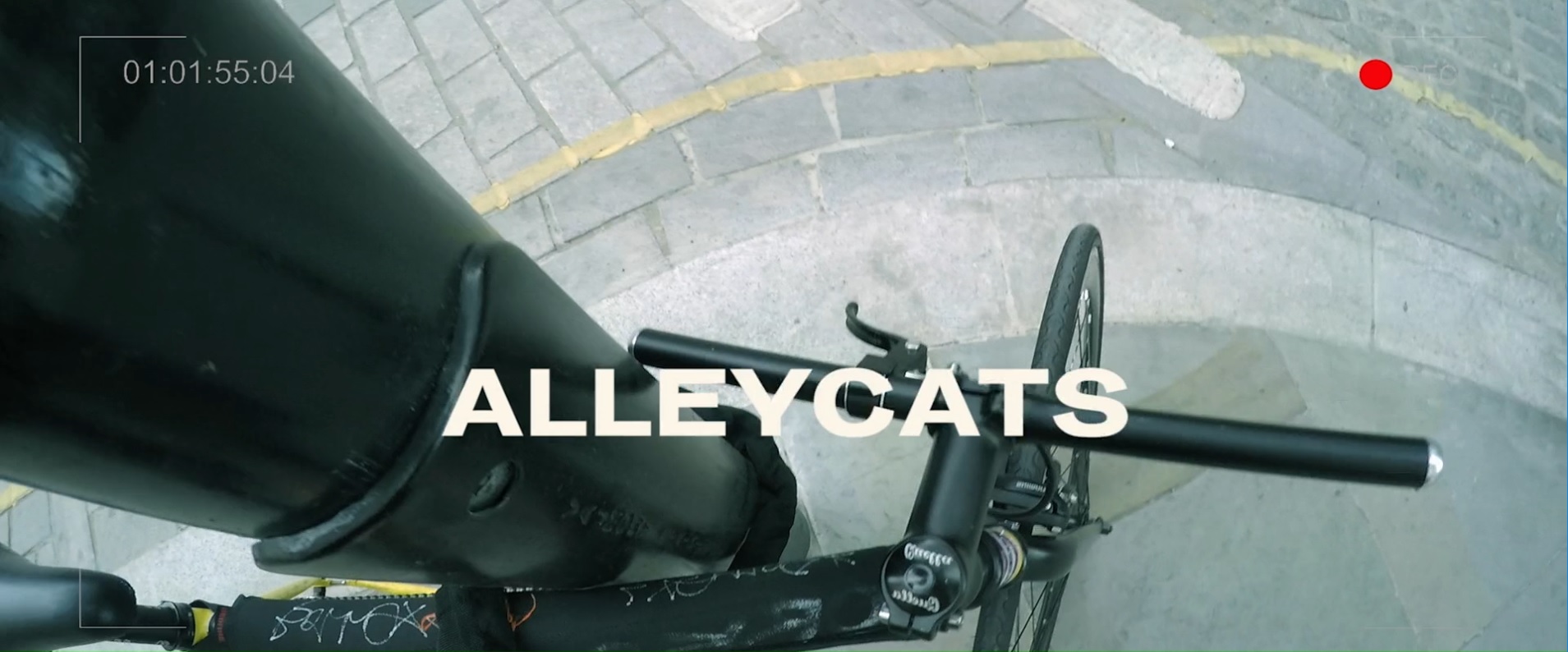 Alleycats (2016)