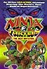 Tortues Ninja: La nouvelle génération (TV Series 1997–1998) Poster