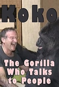 Primary photo for Koko: The Gorilla Who Talks to People