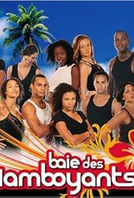 Baie des flamboyants (2007)