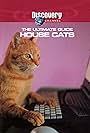 The Ultimate Guide: House Cats (2000)