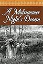 A Midsummer Night's Dream (1909)