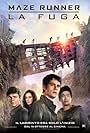 Maze Runner - La fuga (2015)