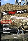 The Piles Project (2008)