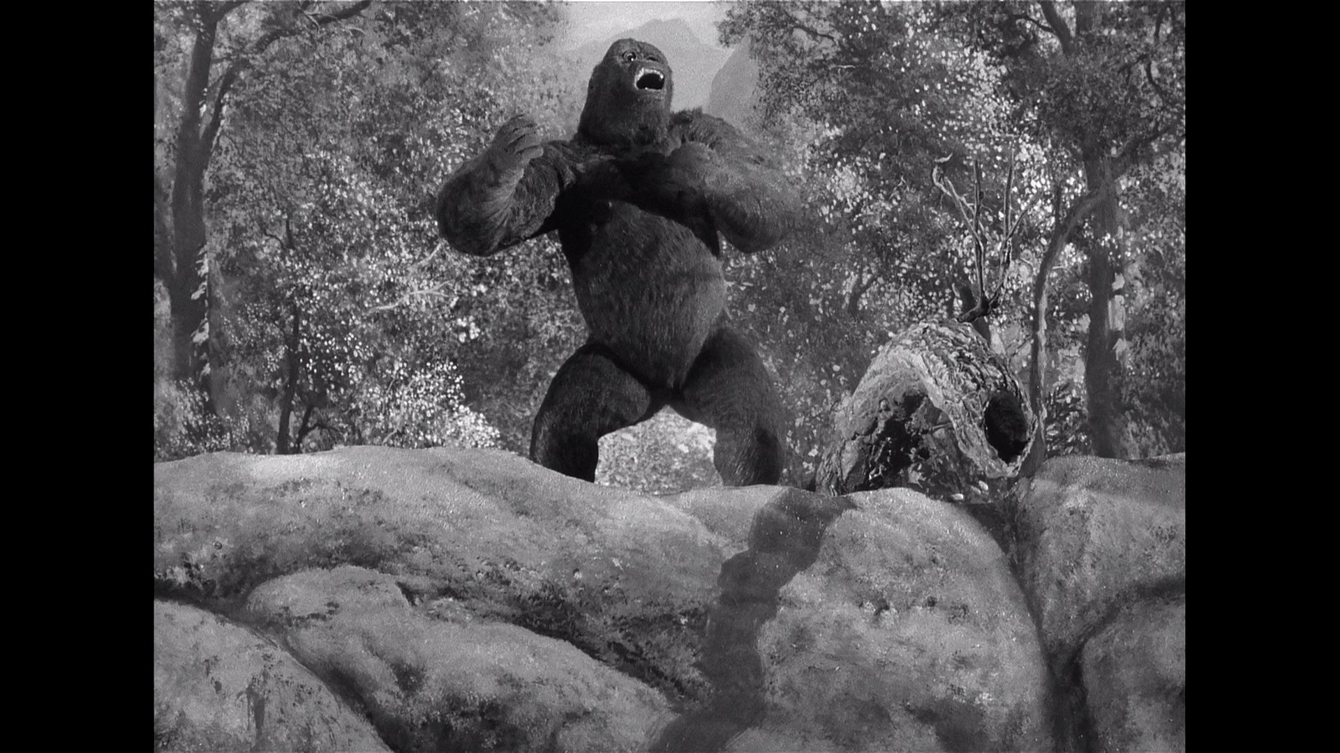 Mr. Joseph Young in Mighty Joe Young (1949)