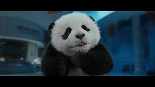 An international action superstar Jackie Chan is involved in a rescue operation of a beloved zoo panda named Hu Hu.