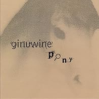 Primary photo for Ginuwine: Pony (Ride It Mix)