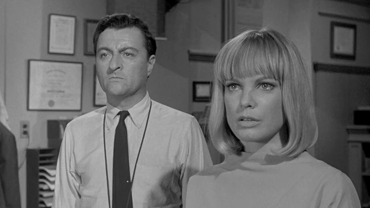 Indus Arthur and Jason Wingreen in The Slender Thread (1965)