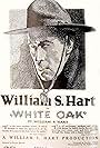 William S. Hart in White Oak (1921)