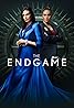 The Endgame (TV Series 2022) Poster