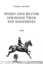 Pferd und Reiter Springen über ein Hindernis