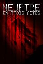 Meurtre en trois actes (2013)