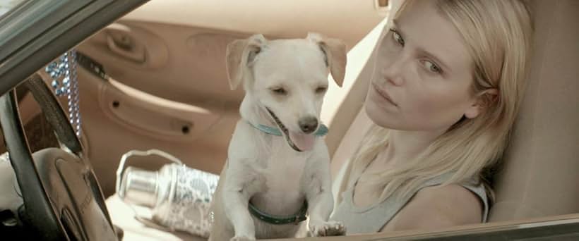 Dree Hemingway and Boonee in Starlet (2012)