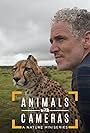 Animals with Cameras, A Nature Miniseries (2018)