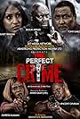 The Perfect Crime (2018)