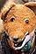 The Basil Brush Show's primary photo