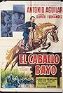 El caballo Bayo (1969)