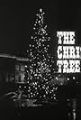 The Christmas Tree (1966)