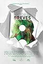 Historias Breves 8 (2013)