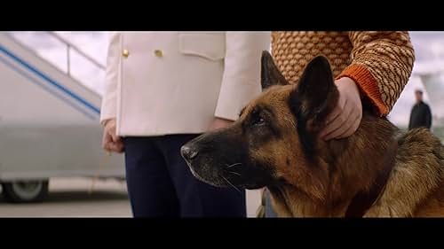 A Dog Named Palma
In cinemas in Russia March 18th.