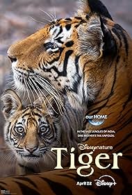 Tiger (2024)