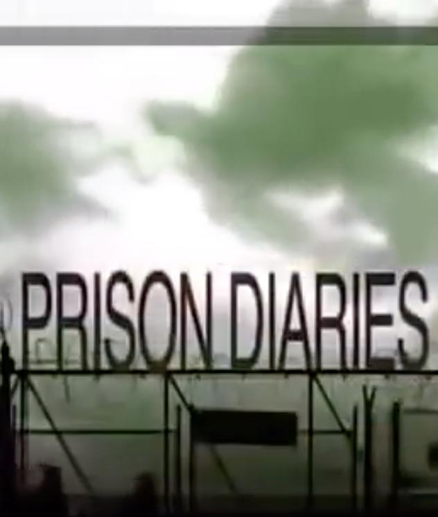 Prison Diaries (2011)