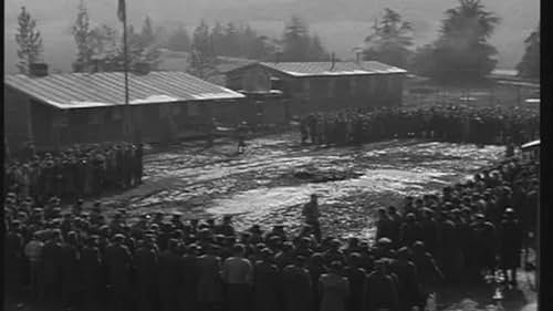 Stalag 17: Fall In