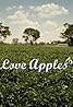 Love Apples (2008) Poster